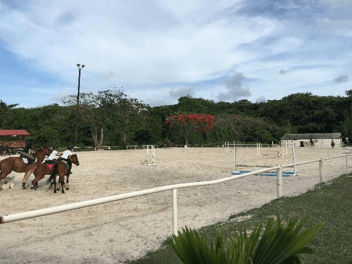 A E LA MARTINGALE — photo 1