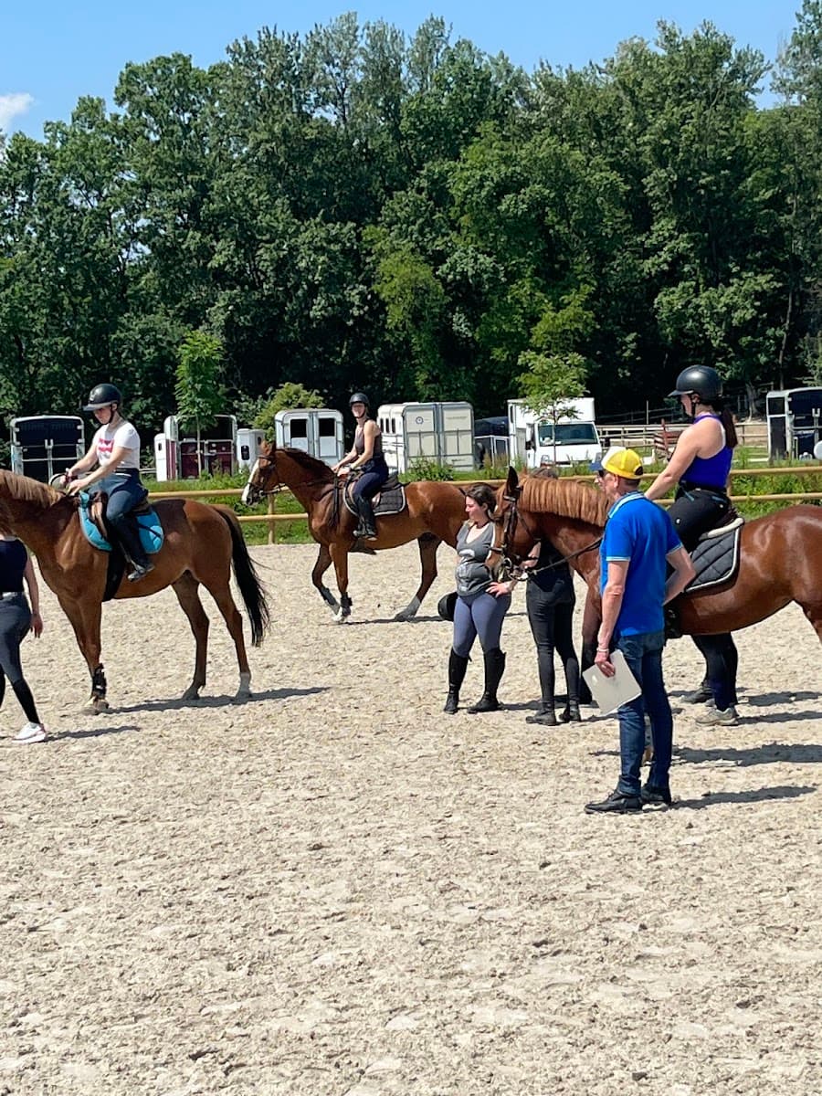ACTION CHEVAL FORMATION — photo 1