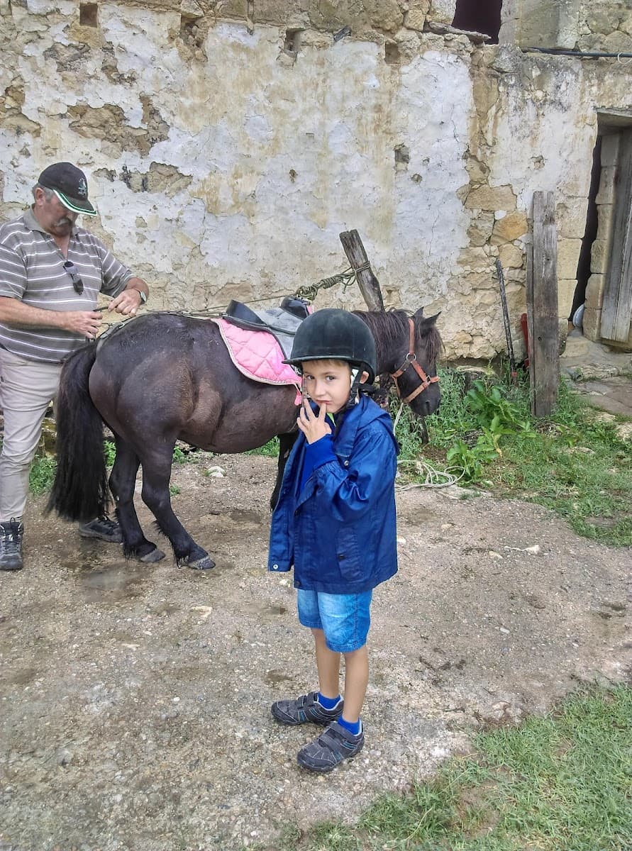 ASSO CENTRE EQUESTRE EQUIT LIBRE — photo 1