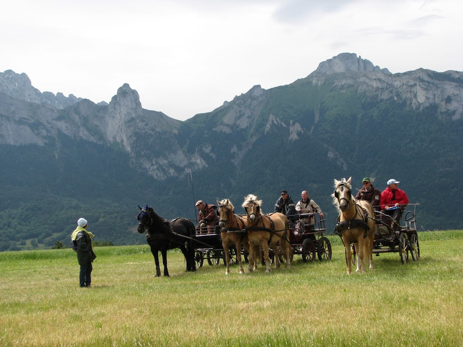 ASSO ISERE CHEVAL VERT — photo 1