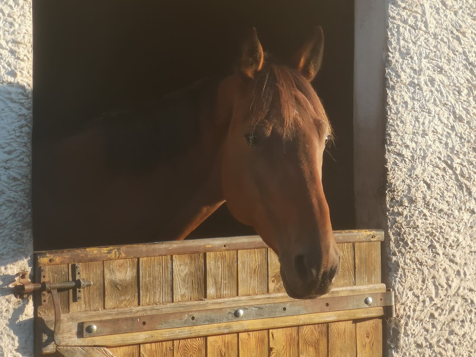 ASSO LA CAVALE DE LA VALLEE D HERVILLE — photo 1