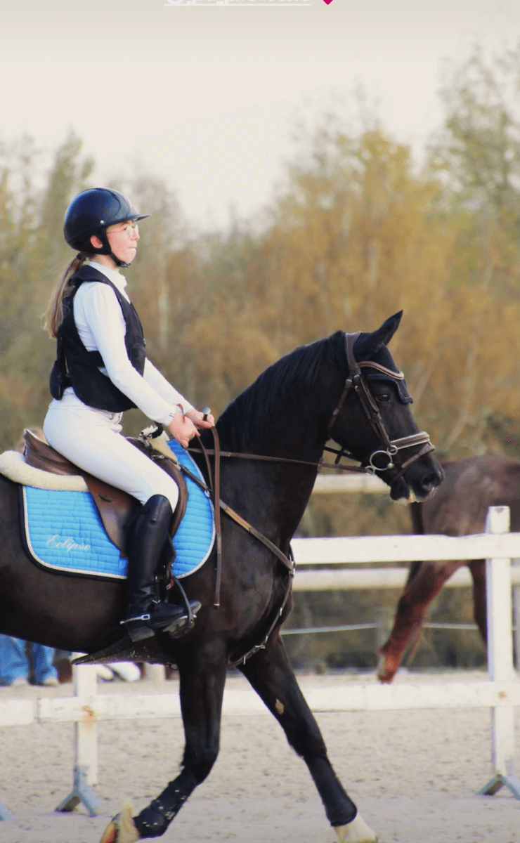ASSO LES ECURIES DE VERNON — photo 1