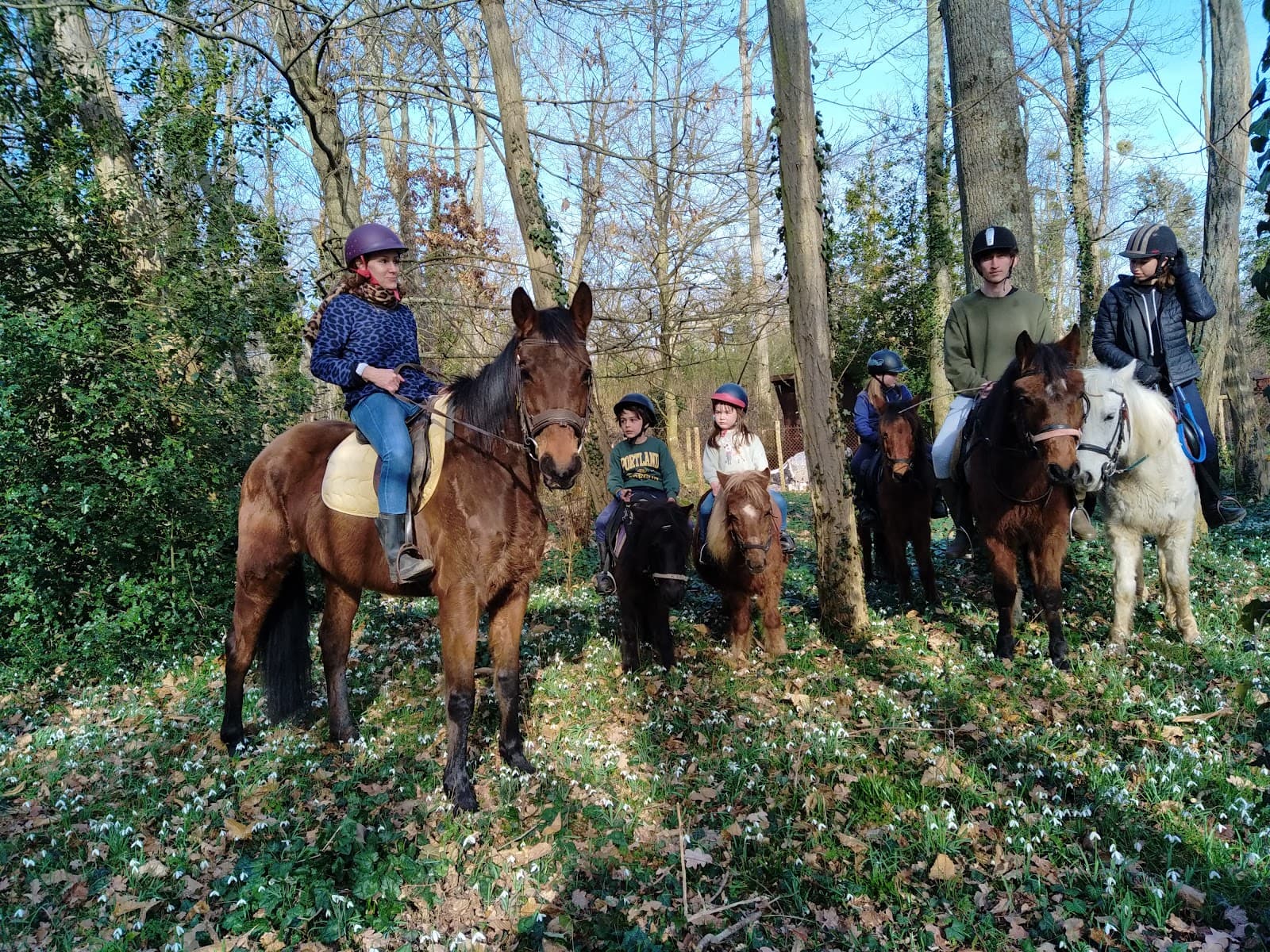 ASSO LES PONEYS D ABORDS — photo 1