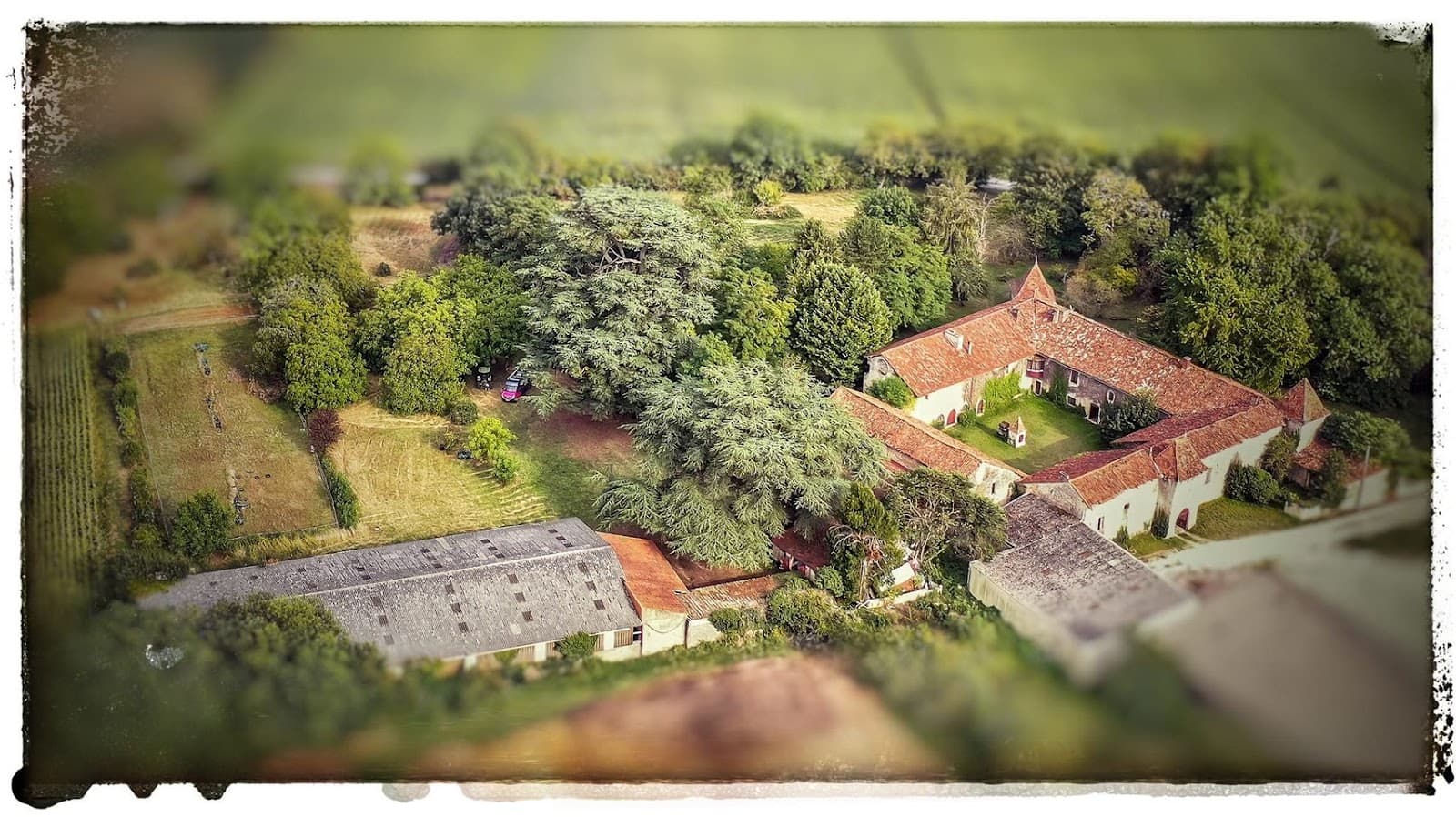 ASSOCIATION DE LA FAYE — photo 1