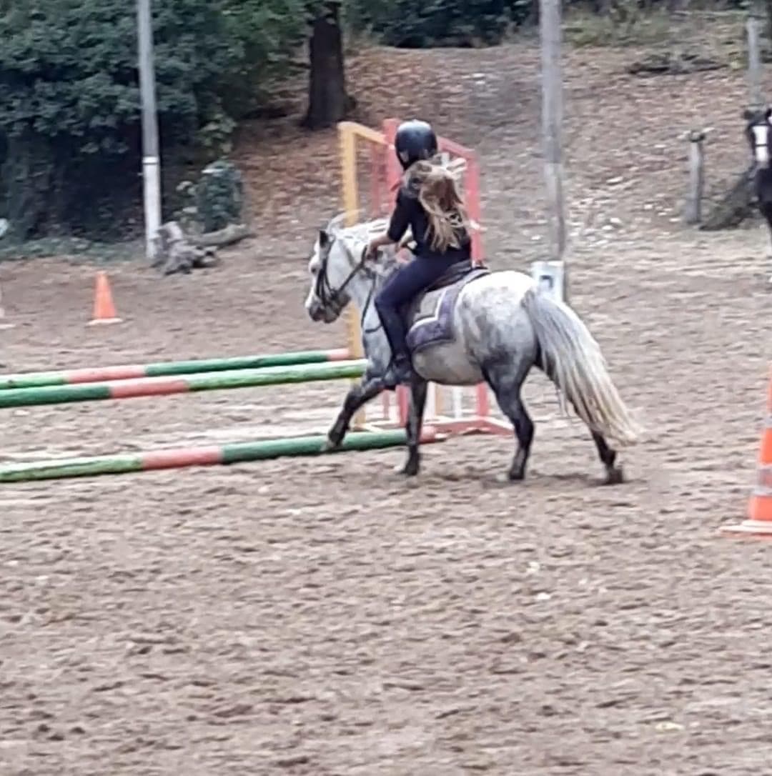 ASSOCIATION EQUIPASSION — photo 1