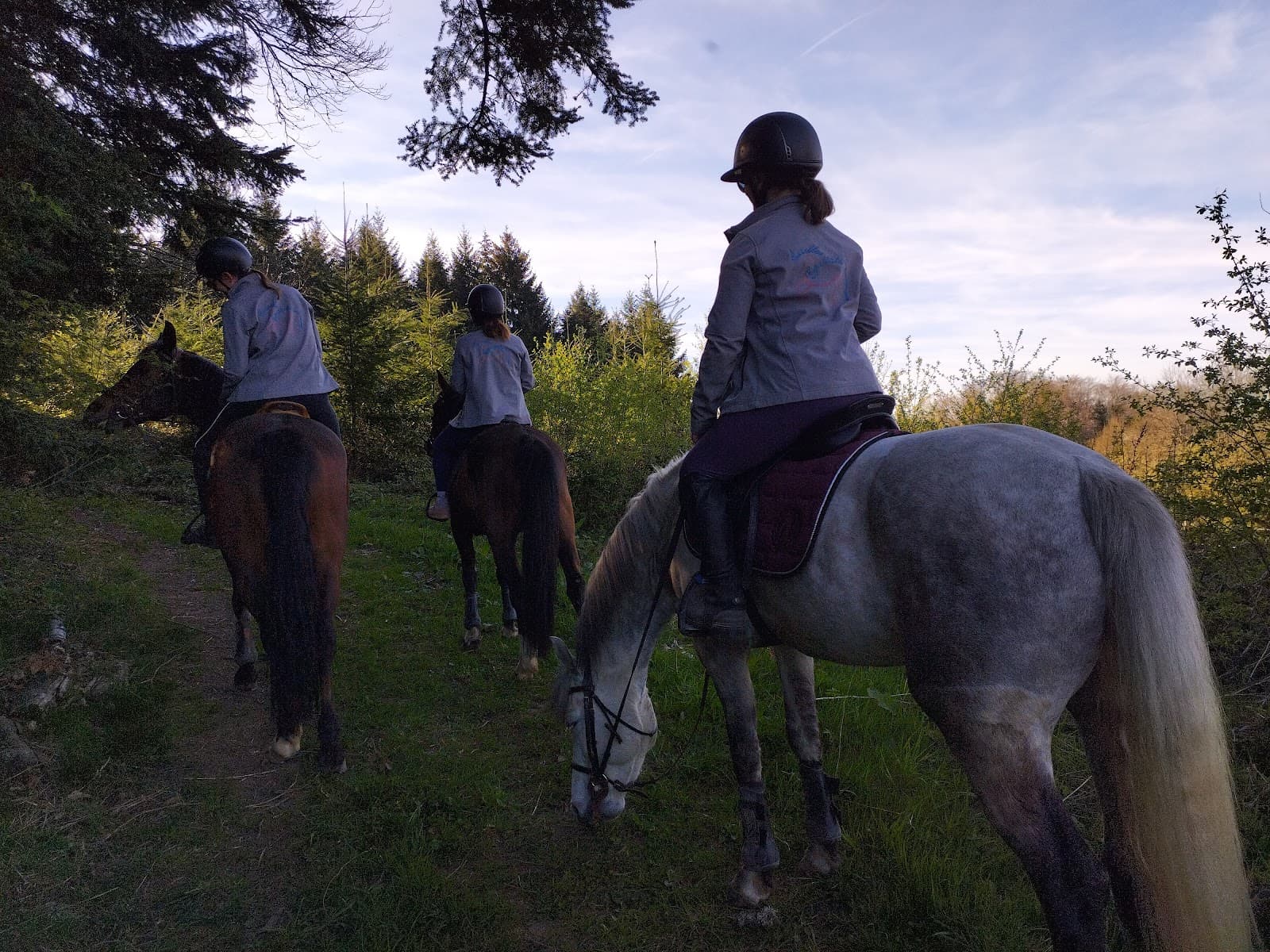 Auzelles Équitation — photo 1