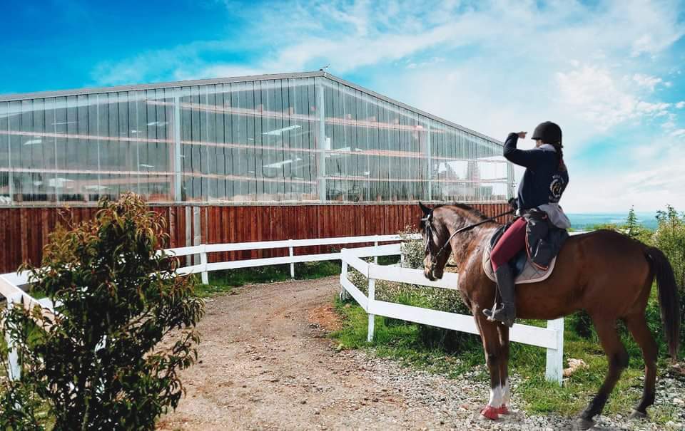 BELLE VUE EQUITATION — photo 1