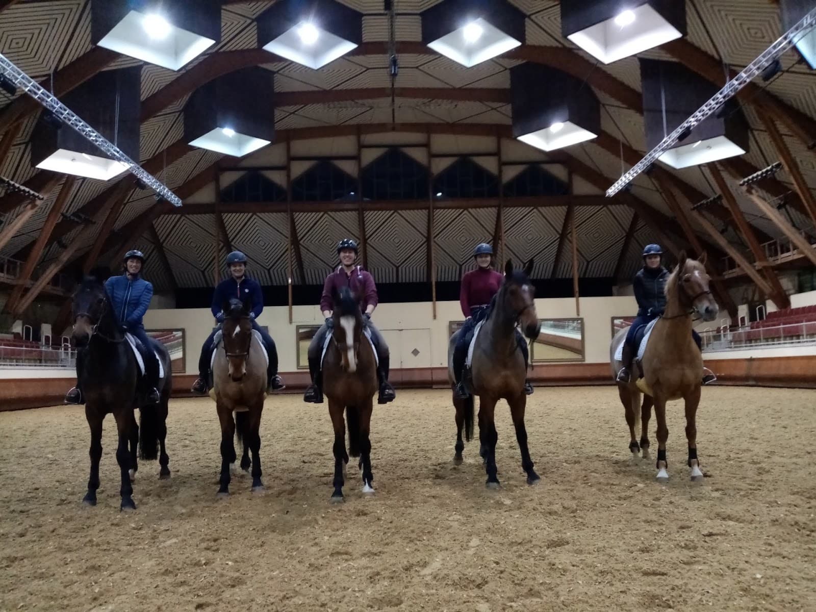 BESSY EQUITATION — photo 1