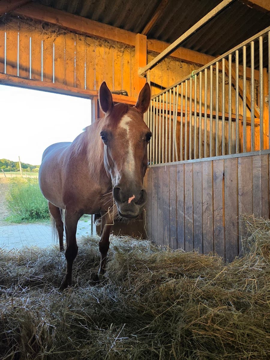 BLACK RIVER RANCH — photo 1