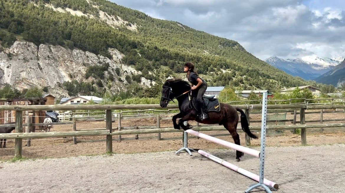 BRAMANS EQUITATION — photo 1