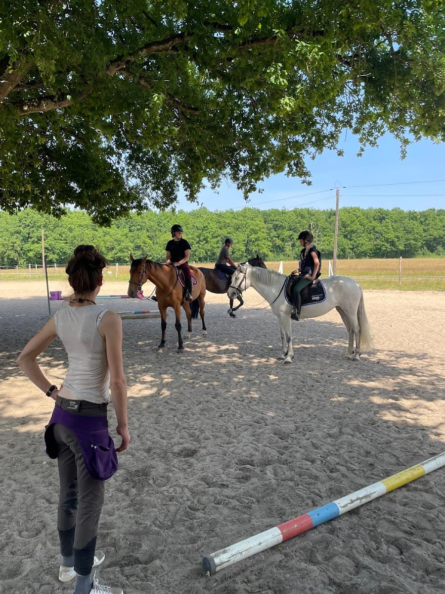 BRESNEAU JUMP — photo 1