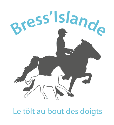 BRESS ISLANDE — photo 1