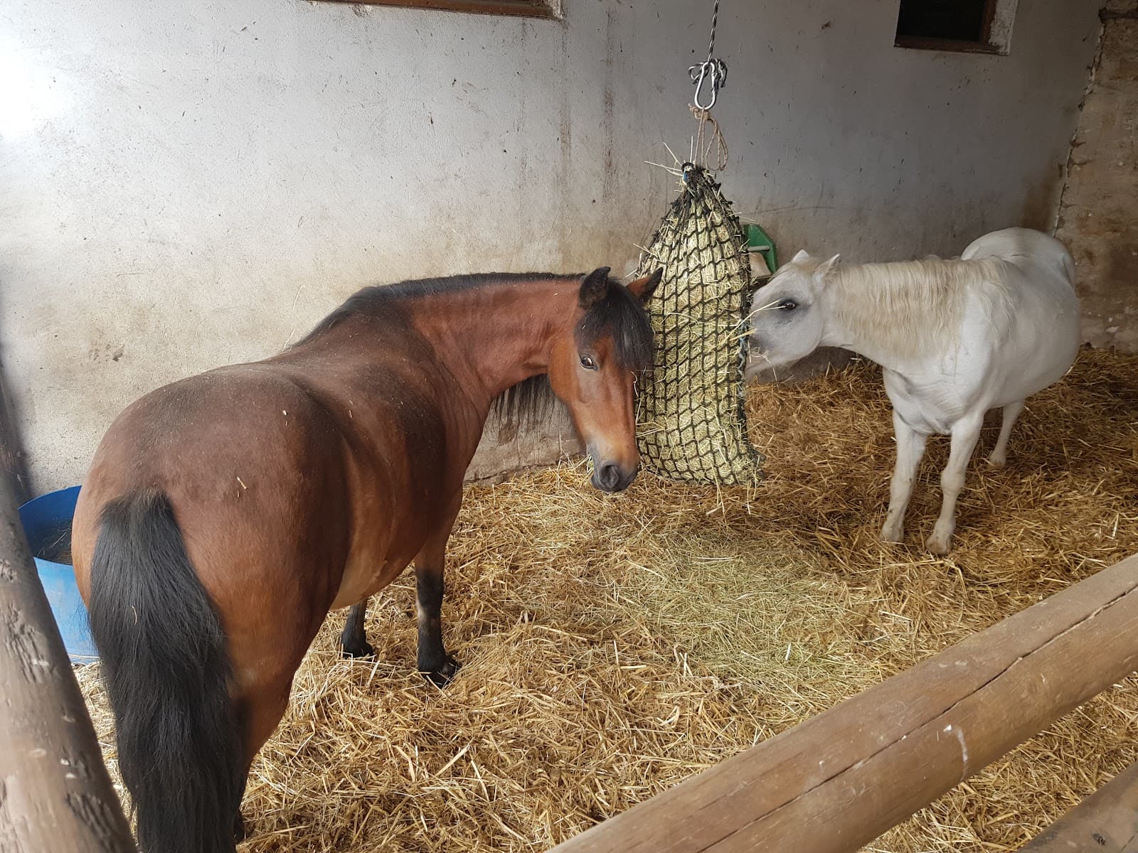 C E DE LA FERME DES TILLEULS — photo 1