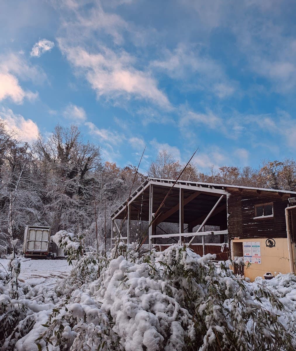 C E DE LA VALLEE DES BOIS — photo 1