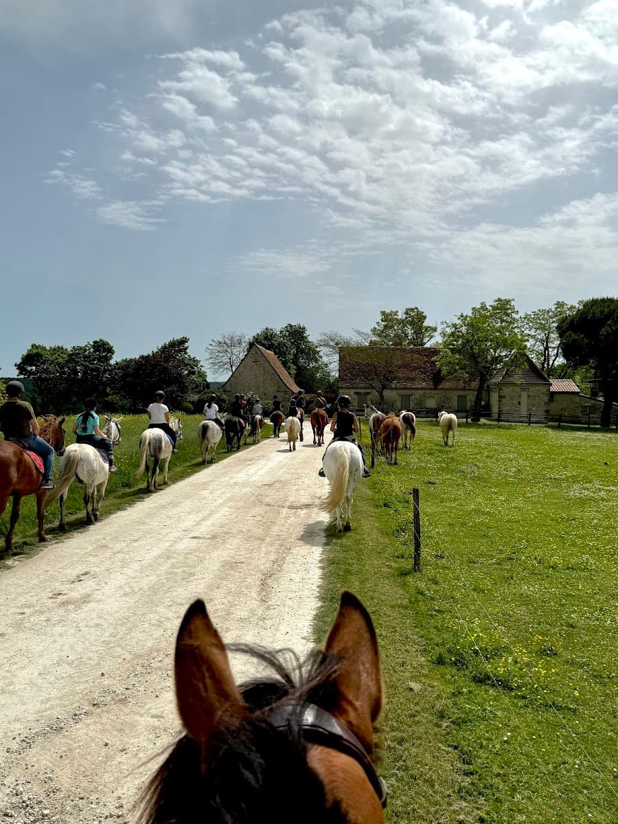 C E ET PONEY CLUB METAIRIE DU ROC — photo 1