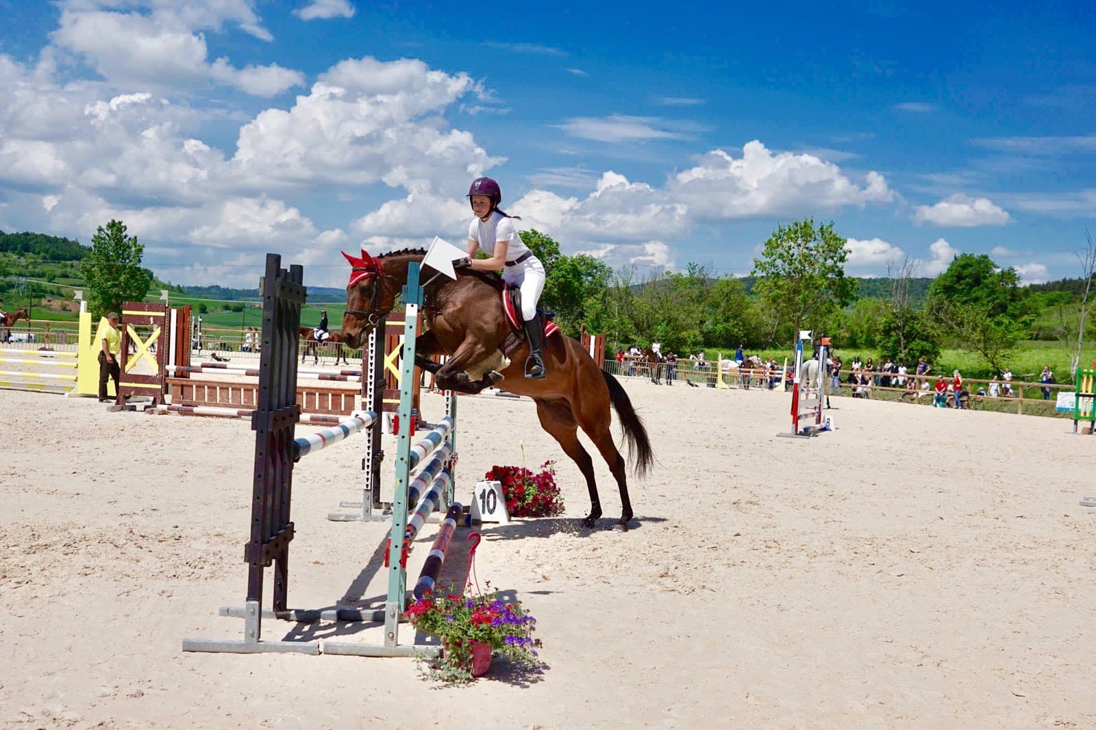 C E P C LES PETITS CHEVAUX — photo 1