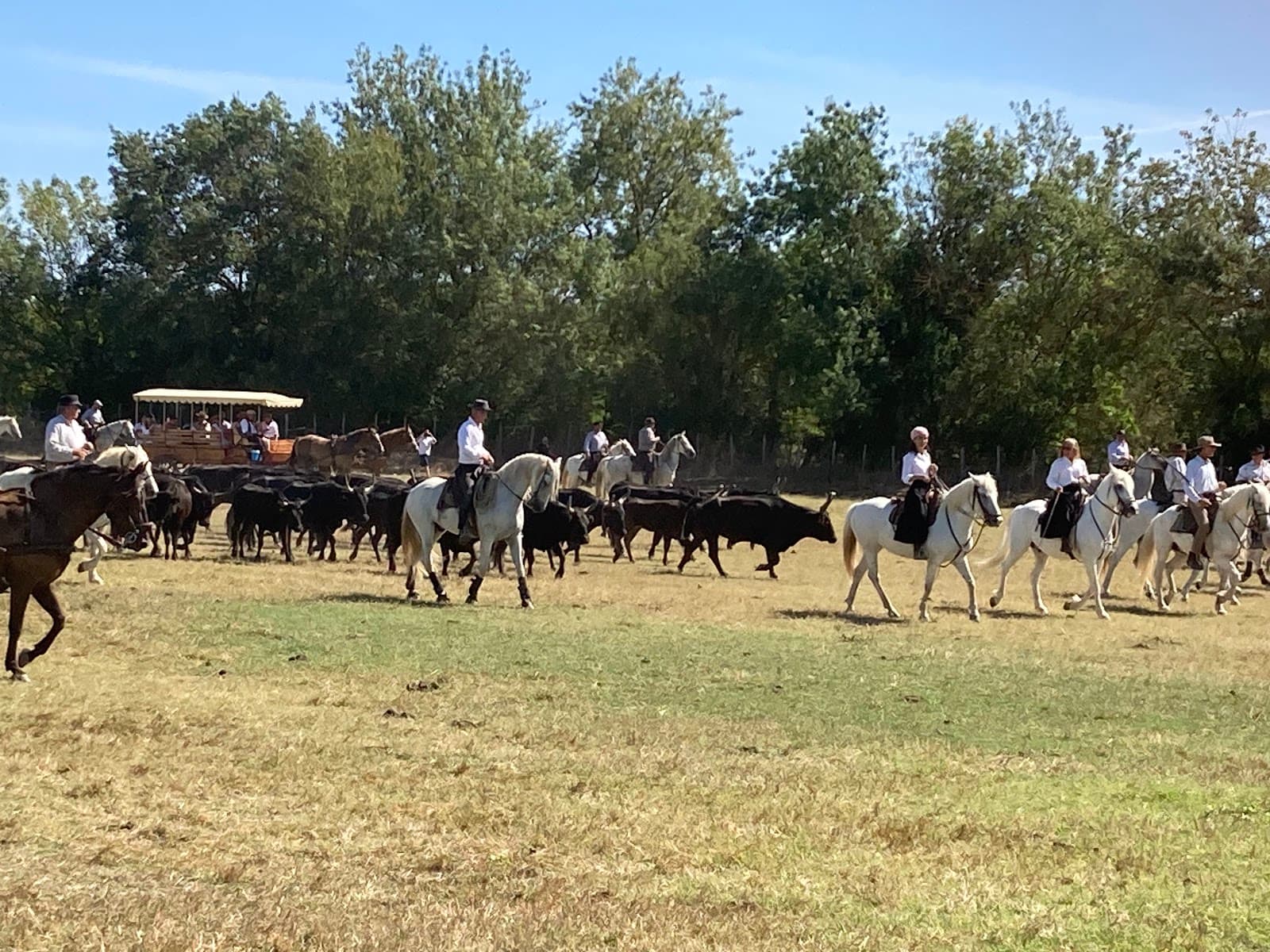 CALECHES DE LA CLAPIERE — photo 1