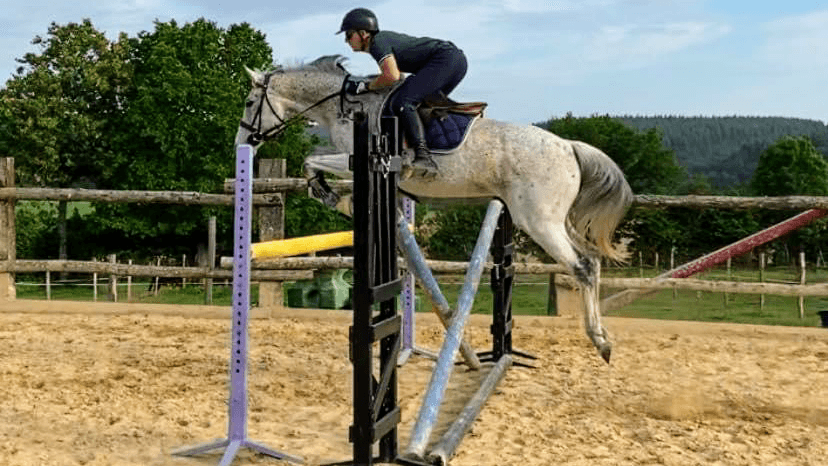 CAVALERIE LES T — photo 1