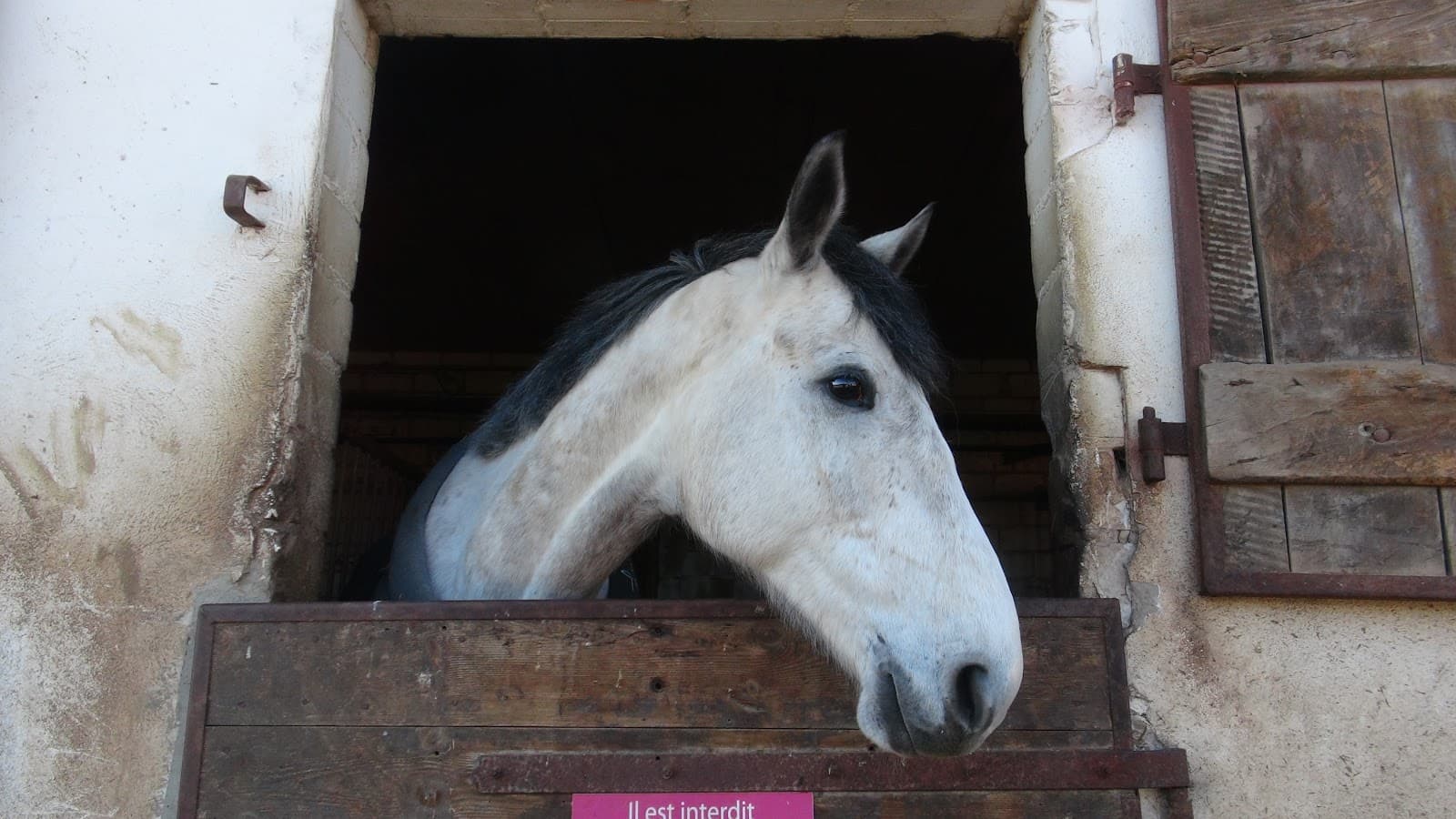 CAVALIERS DE BIRLENBACH — photo 1