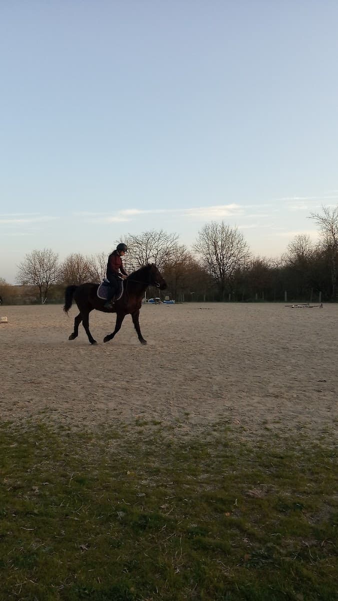 CENTRE EQUESTRE DE BESSIERES — photo 1