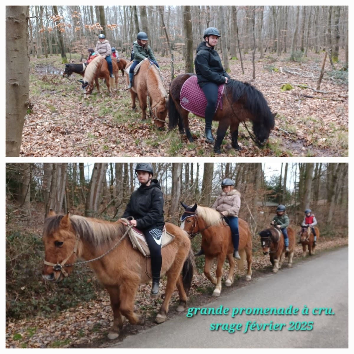 CENTRE EQUESTRE DE L ORIVAL — photo 1
