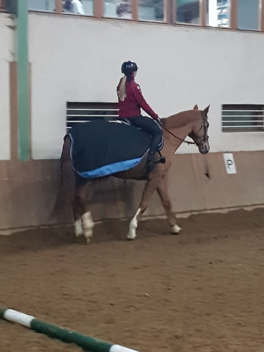 CENTRE EQUESTRE DE MAIRY — photo 1