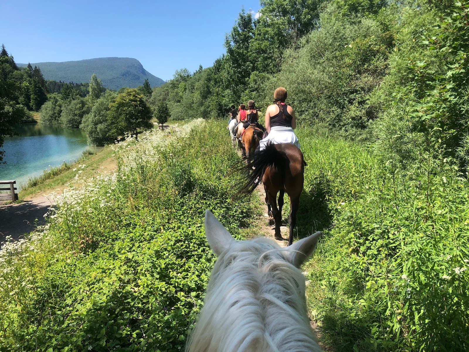 CENTRE EQUESTRE DES BAUGES — photo 1