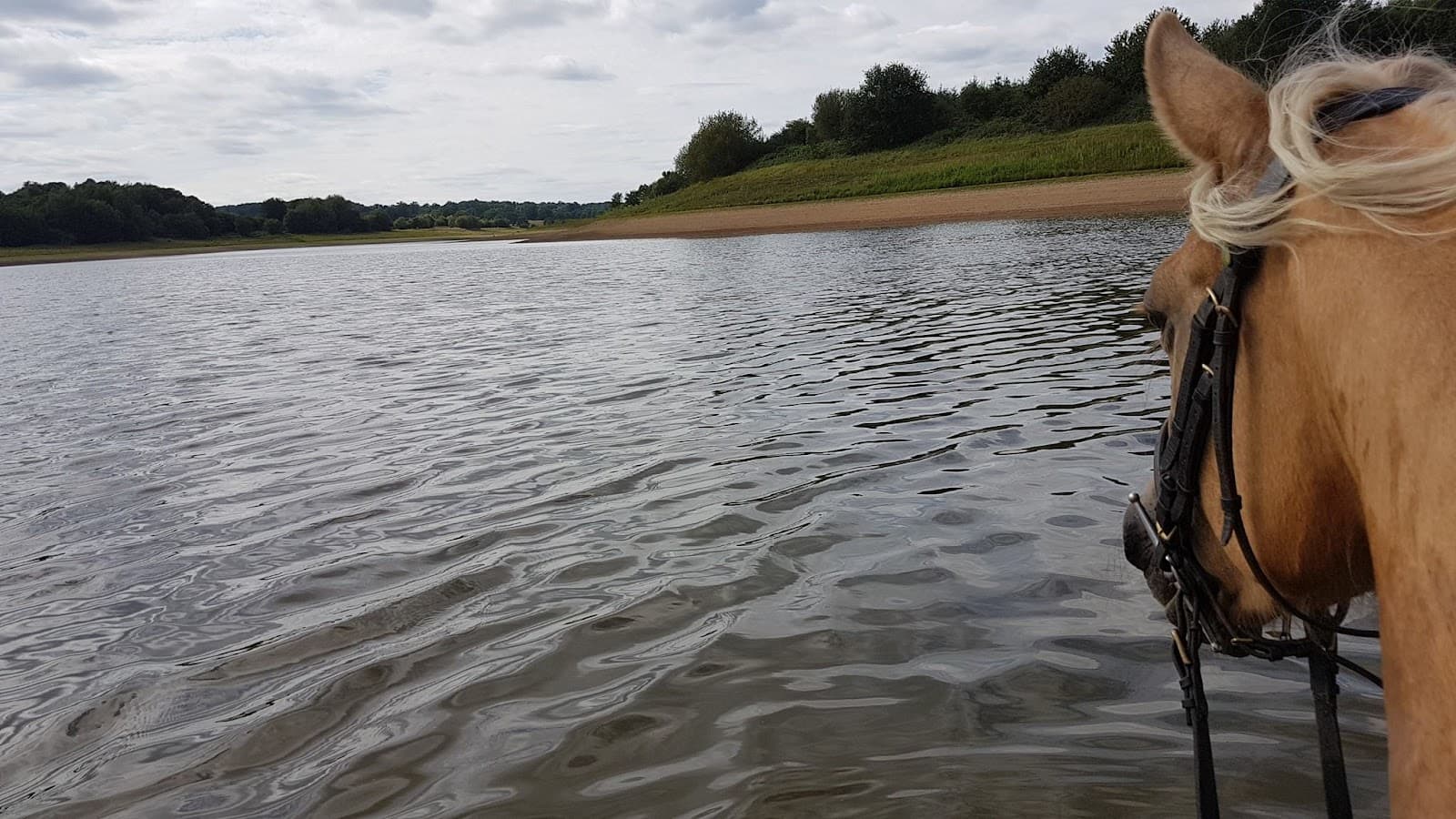 CENTRE EQUESTRE DES LACS HAUTE CHARENTE — photo 1