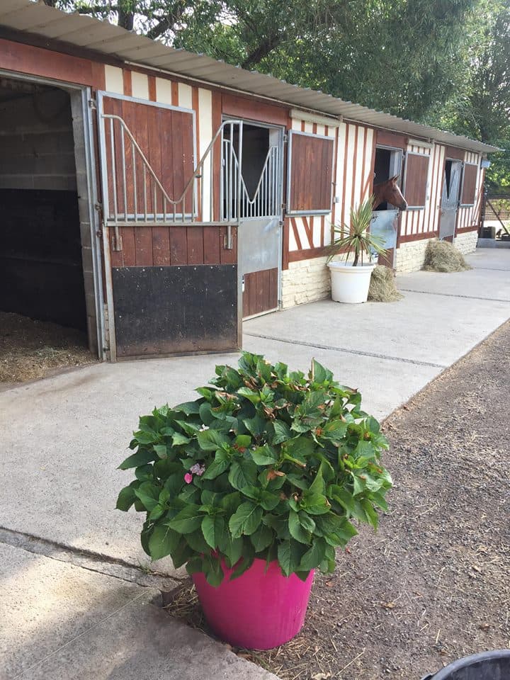 CENTRE EQUESTRE DES PICOTAINS — photo 1