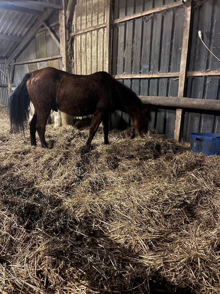 CENTRE EQUESTRE DU CAILLEBOURG — photo 1