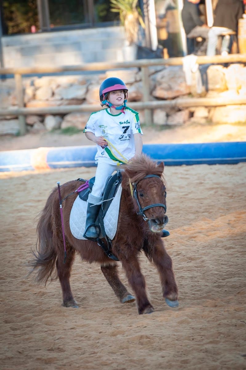 CENTRE EQUESTRE DU MAS DE COURNON — photo 1