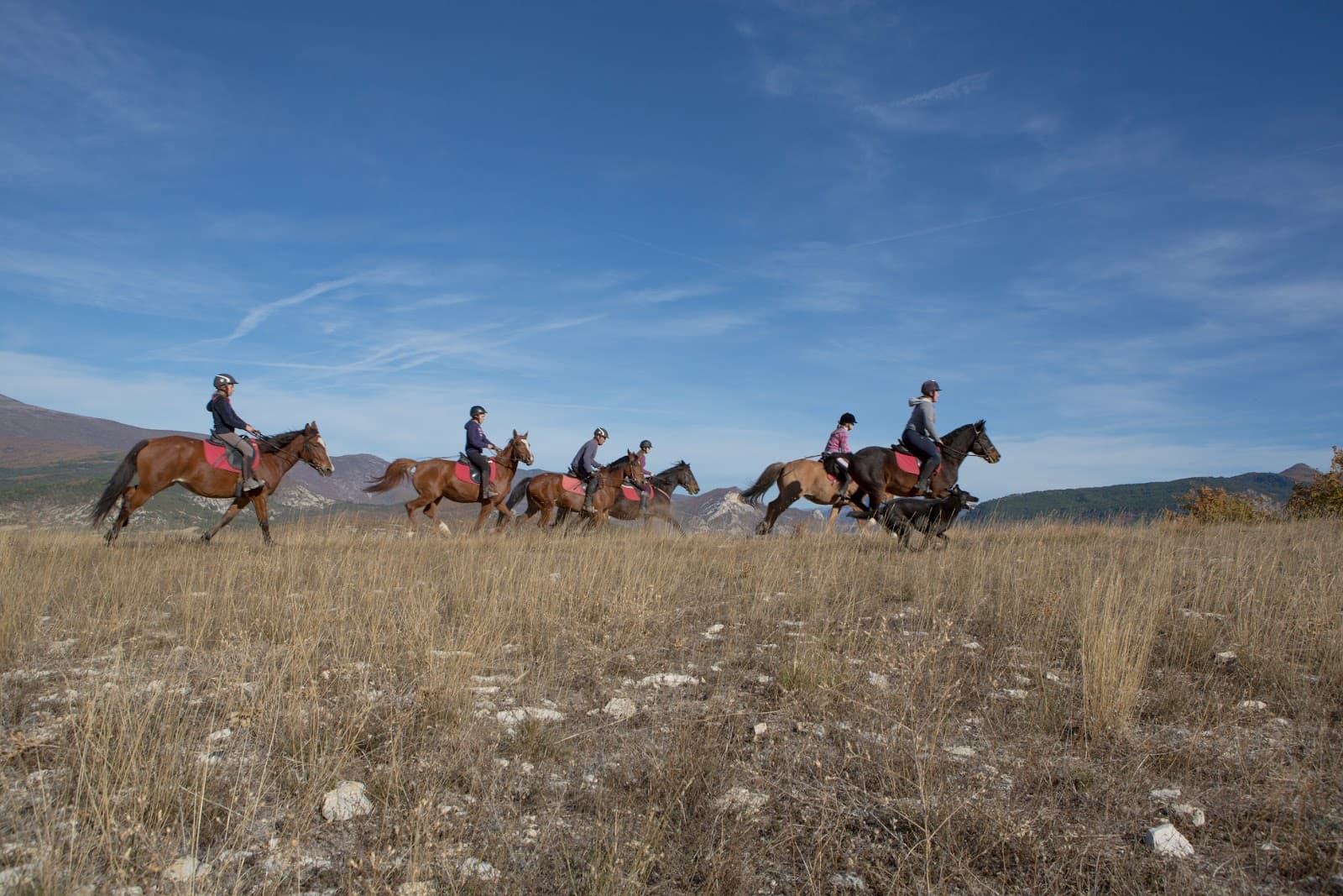 CENTRE EQUESTRE DU ROUET — photo 1