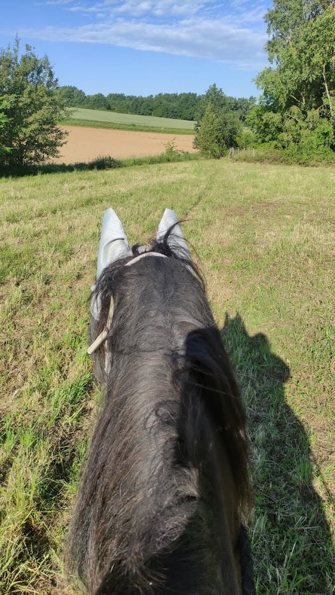CENTRE EQUESTRE LA BALLARADE — photo 1