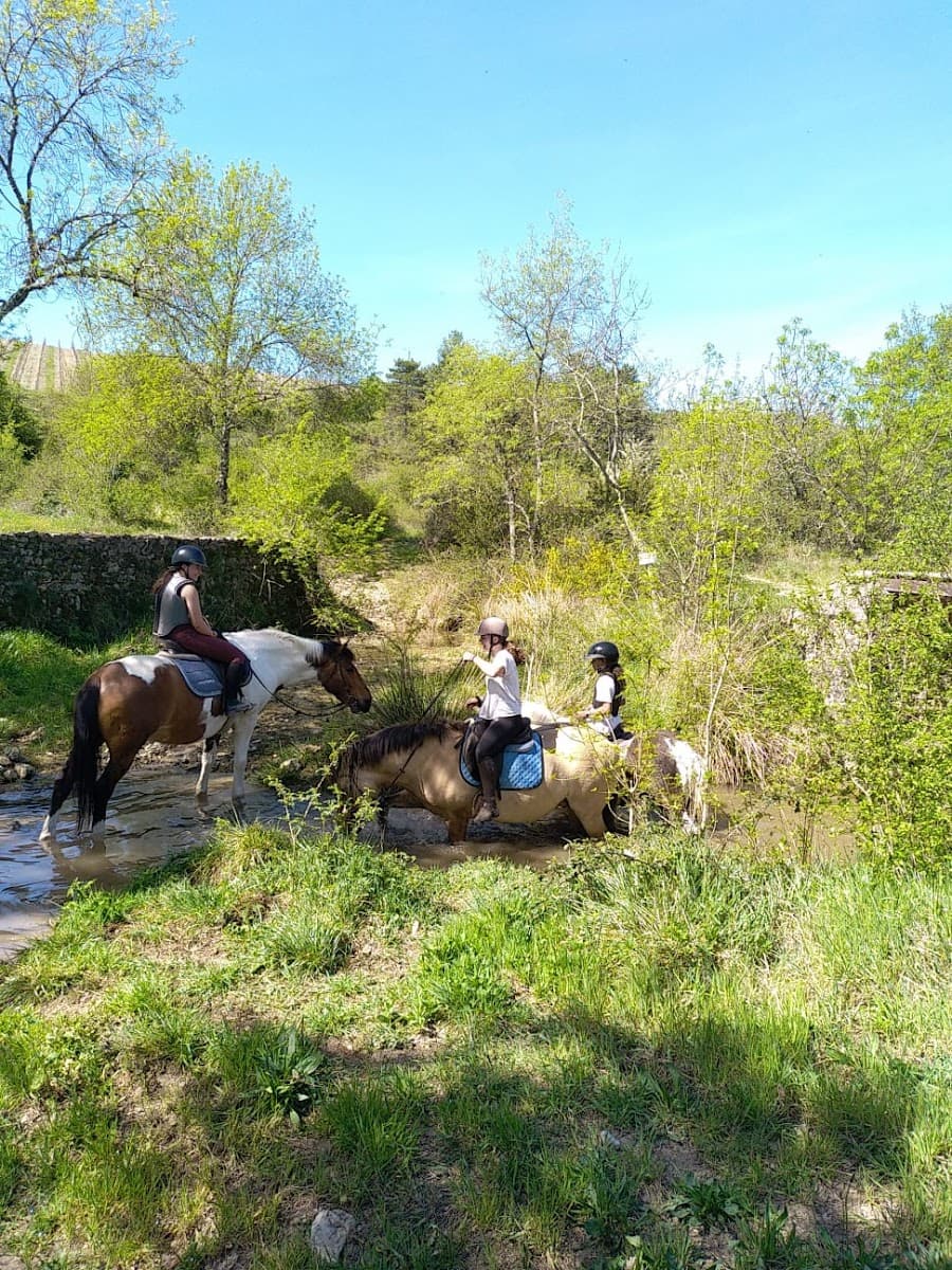 CENTRE EQUESTRE LA CAVALERIE DES COTES — photo 1