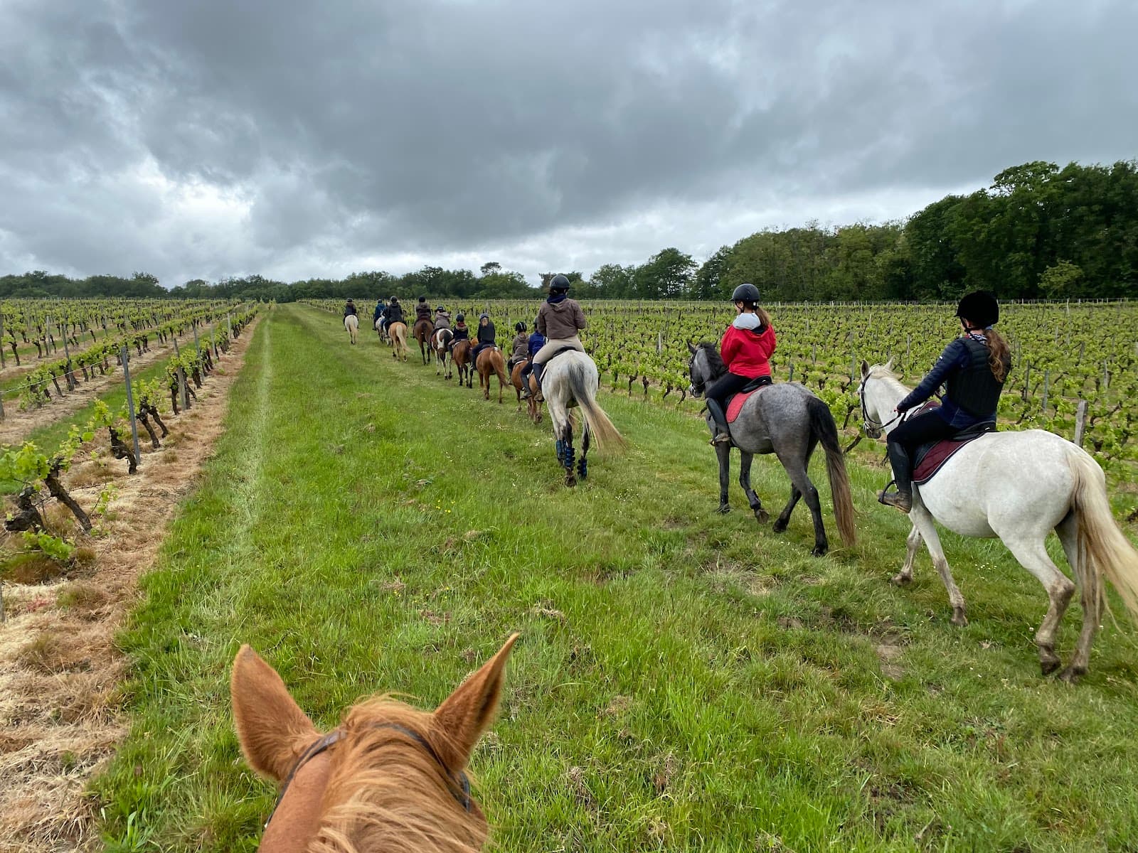 CENTRE EQUESTRE LA GRANGE — photo 1