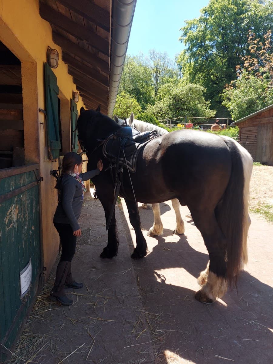 CENTRE EQUESTRE LA MUSEROLLE — photo 1