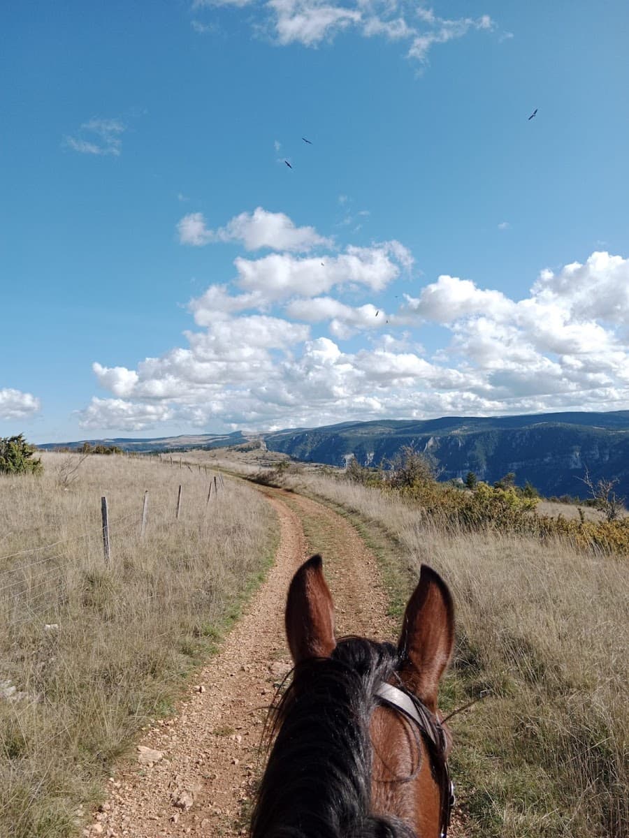 CENTRE EQUESTRE LA PERIGOUSE — photo 1