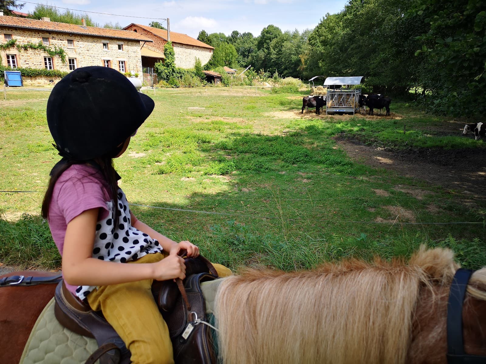 CENTRE EQUESTRE LA RIVIERE EARL — photo 1