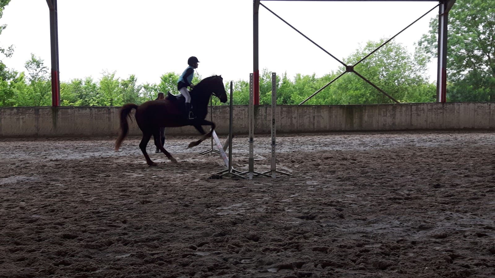CENTRE EQUESTRE LA ROCHELLE VILLEDOUX — photo 1