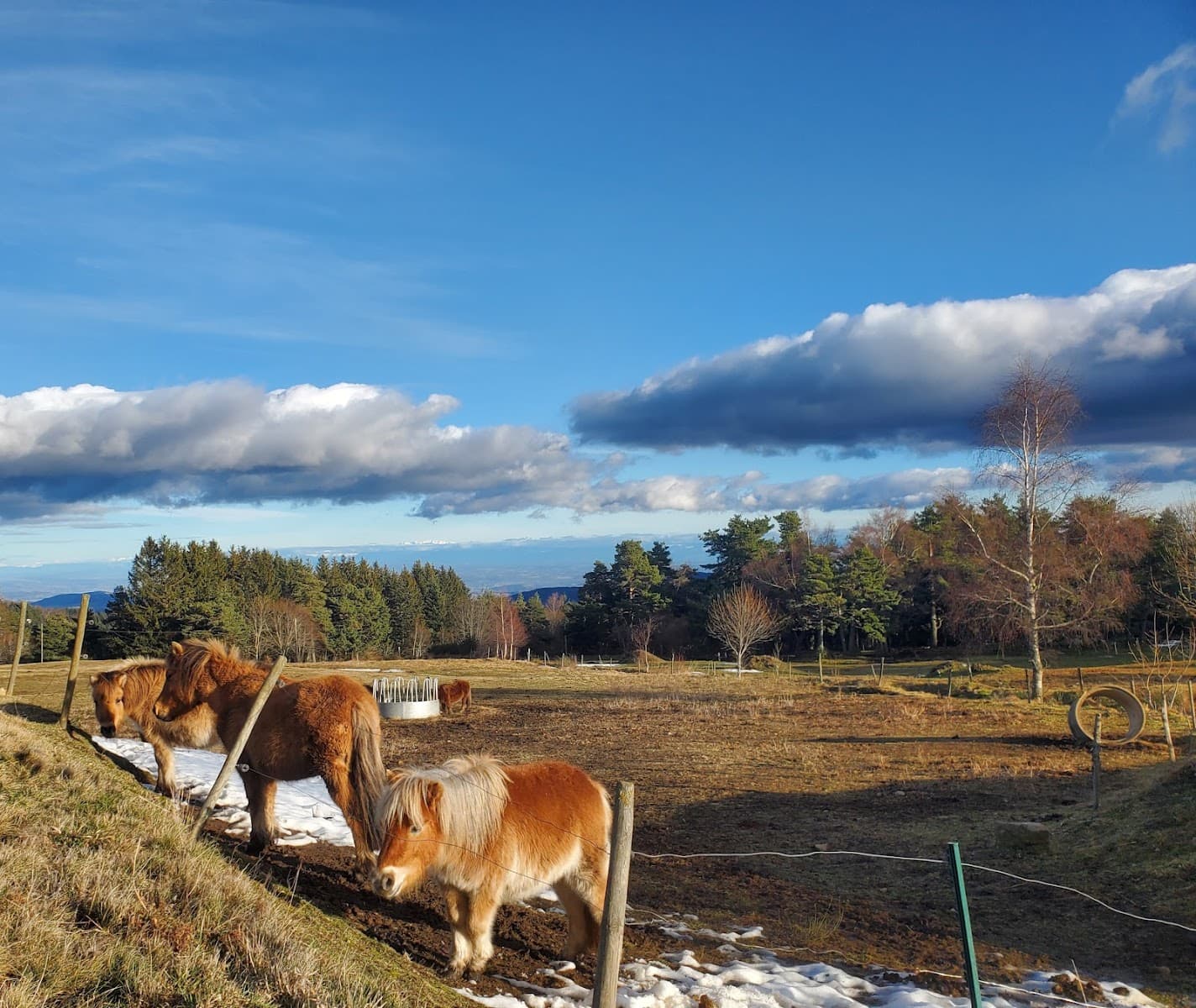 CENTRE EQUESTRE LES ECRINELLES — photo 1