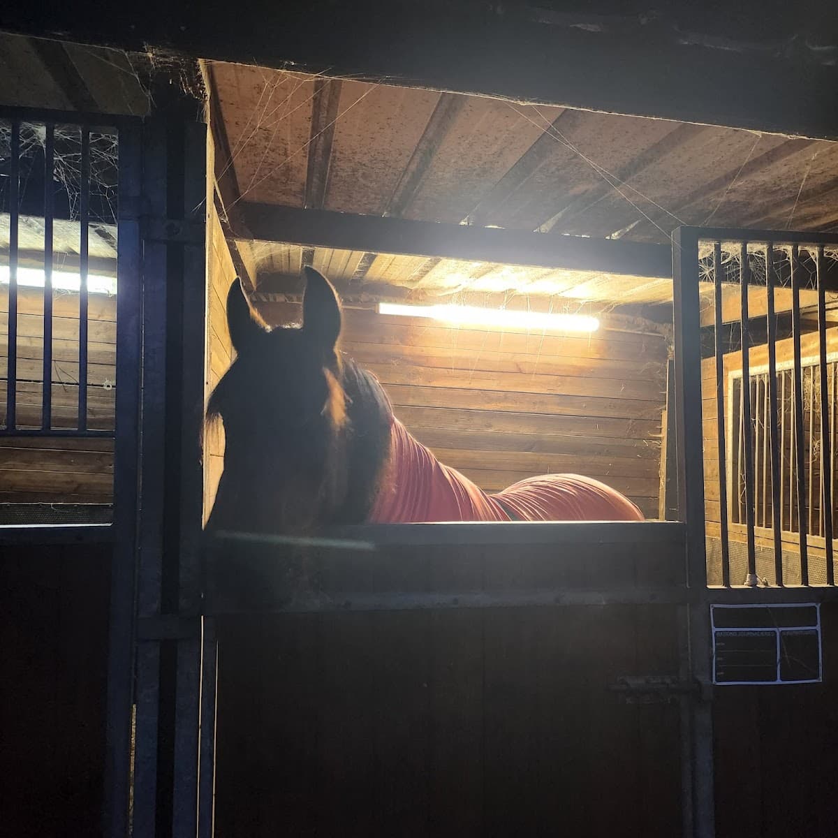 CENTRE EQUESTRE OBERSTEINBACH — photo 1