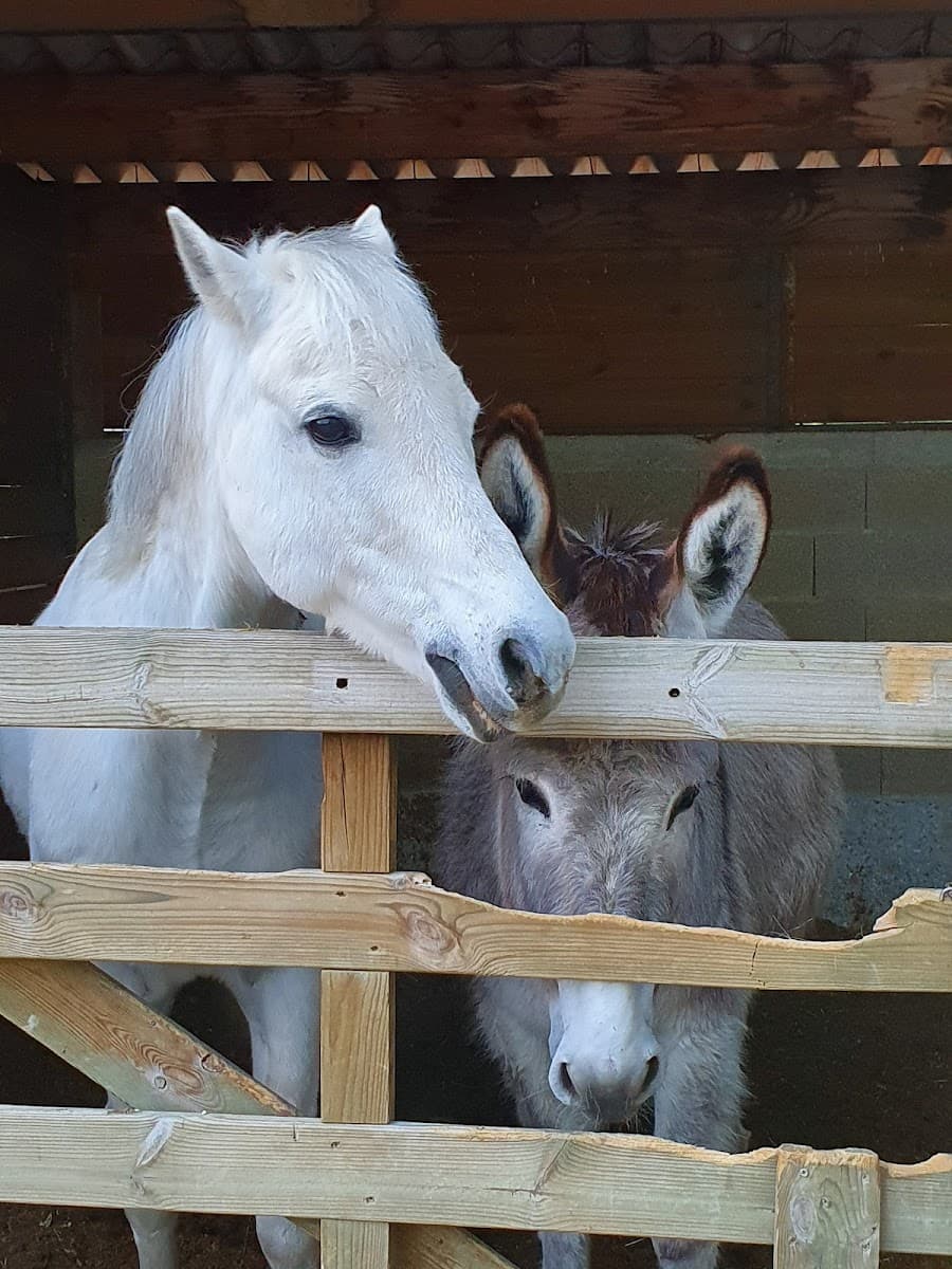 CENTRE EQUESTRE RICHARD SEBASTIEN — photo 1