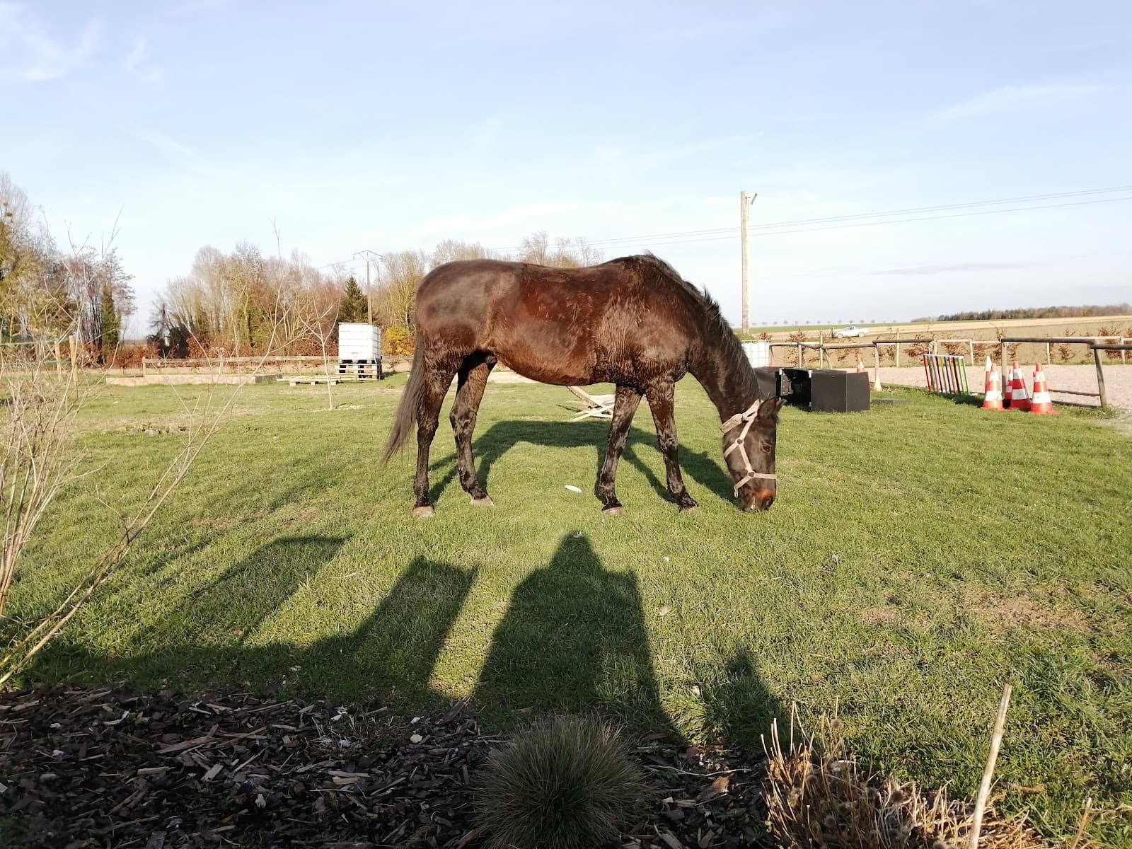 Champ à Cheval — photo 1