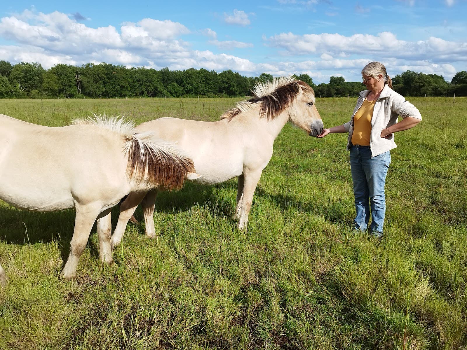 CHEVAL AND CO — photo 1