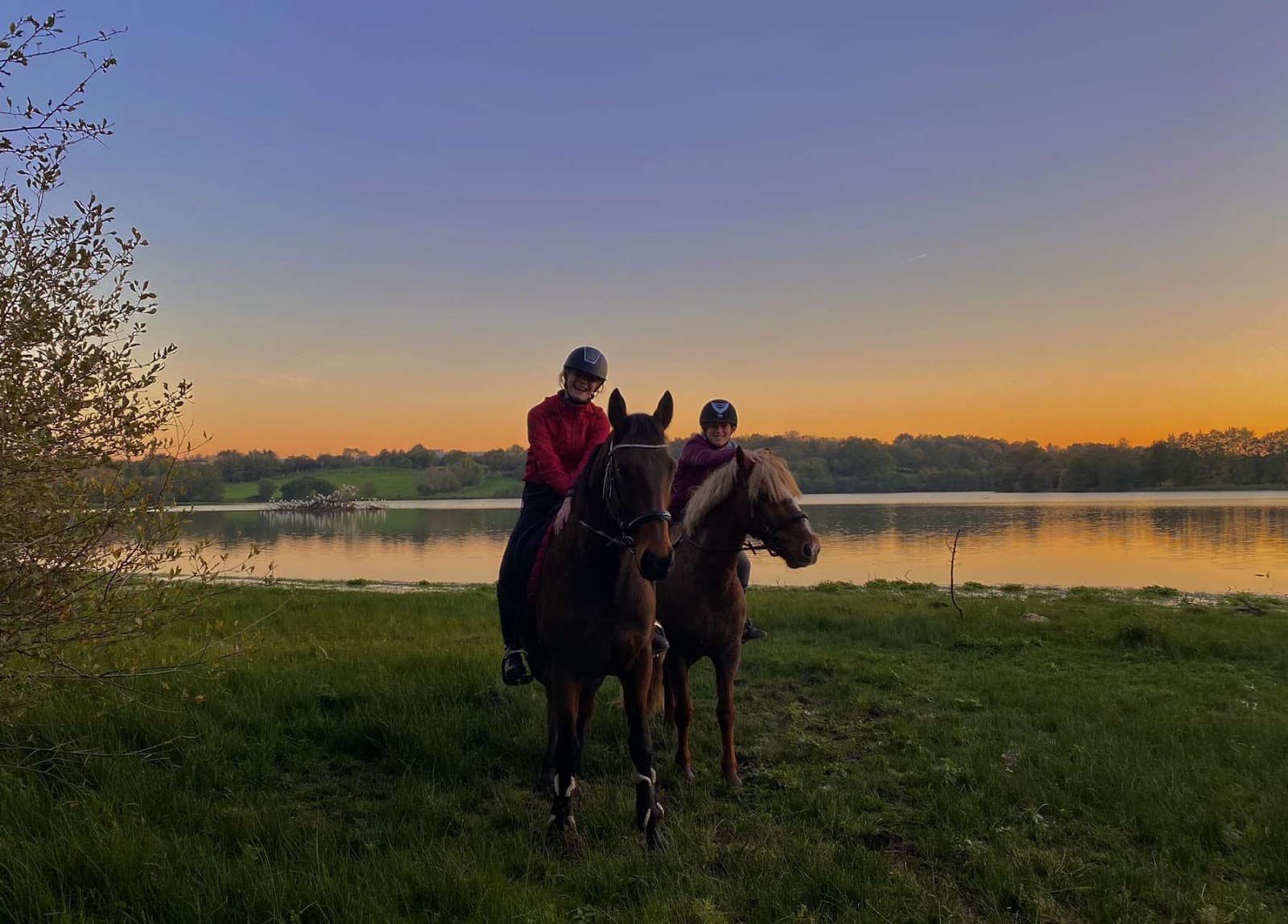 CHEVAL DETENTE ASSOCIATION — photo 1