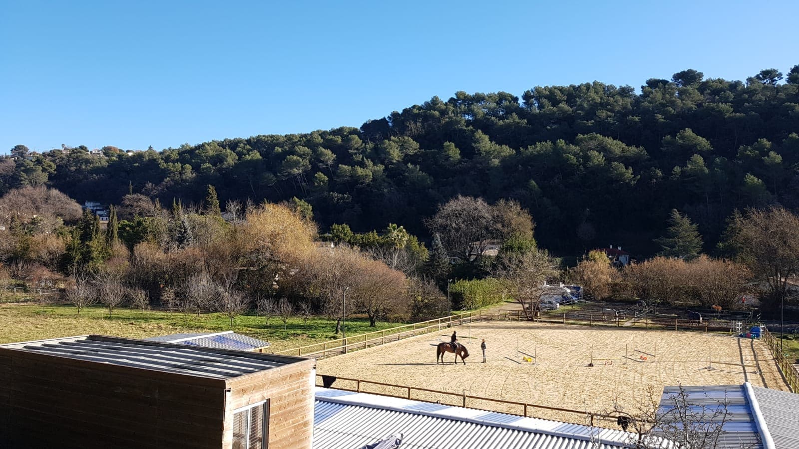 CHEVAL ROY — photo 1