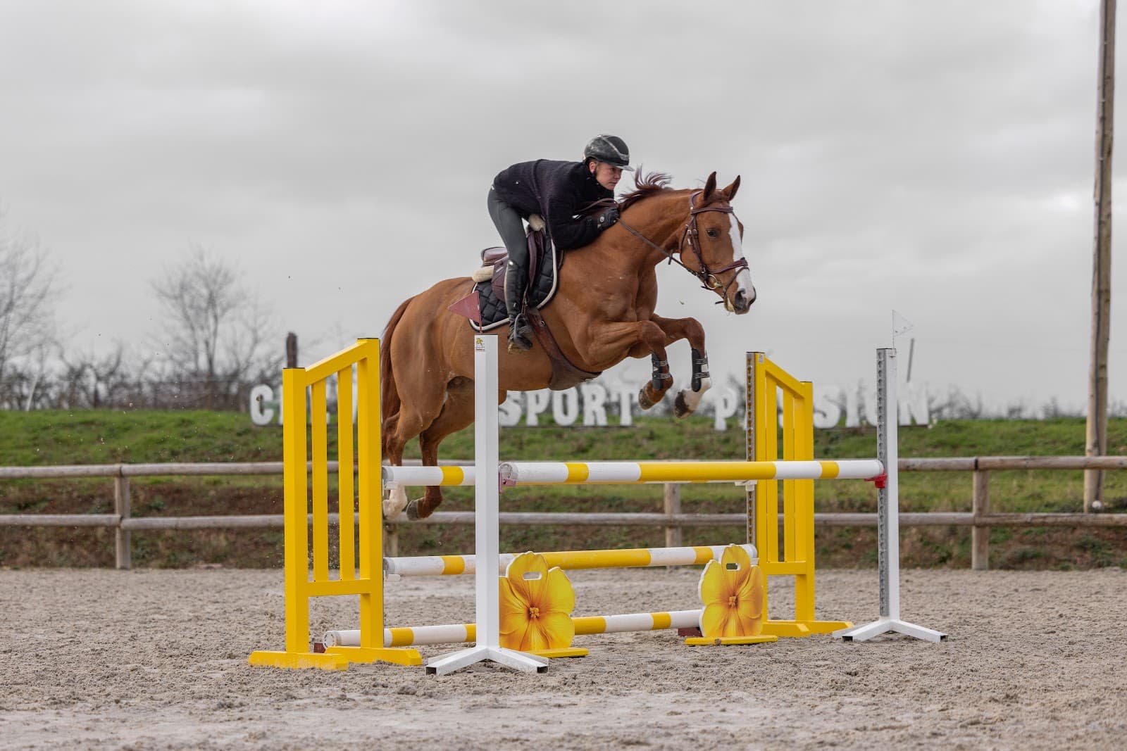 CHEVAL SPORT PASSION — photo 1