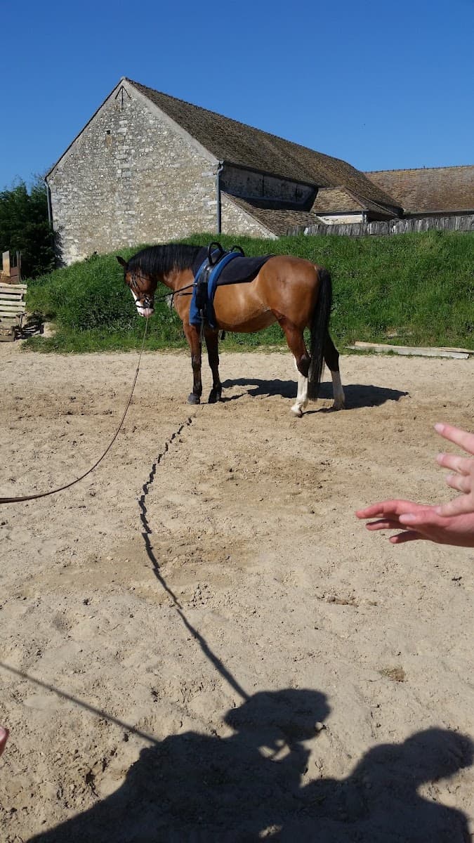 CLUB DE VOLTIGE EQUESTRE MAUCHAMPS — photo 1