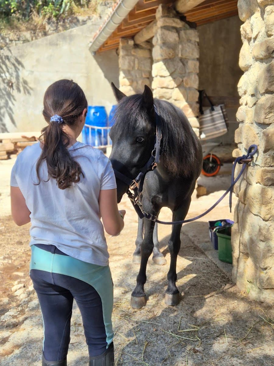CLUB EQUESTRE LE CHAMBON — photo 1