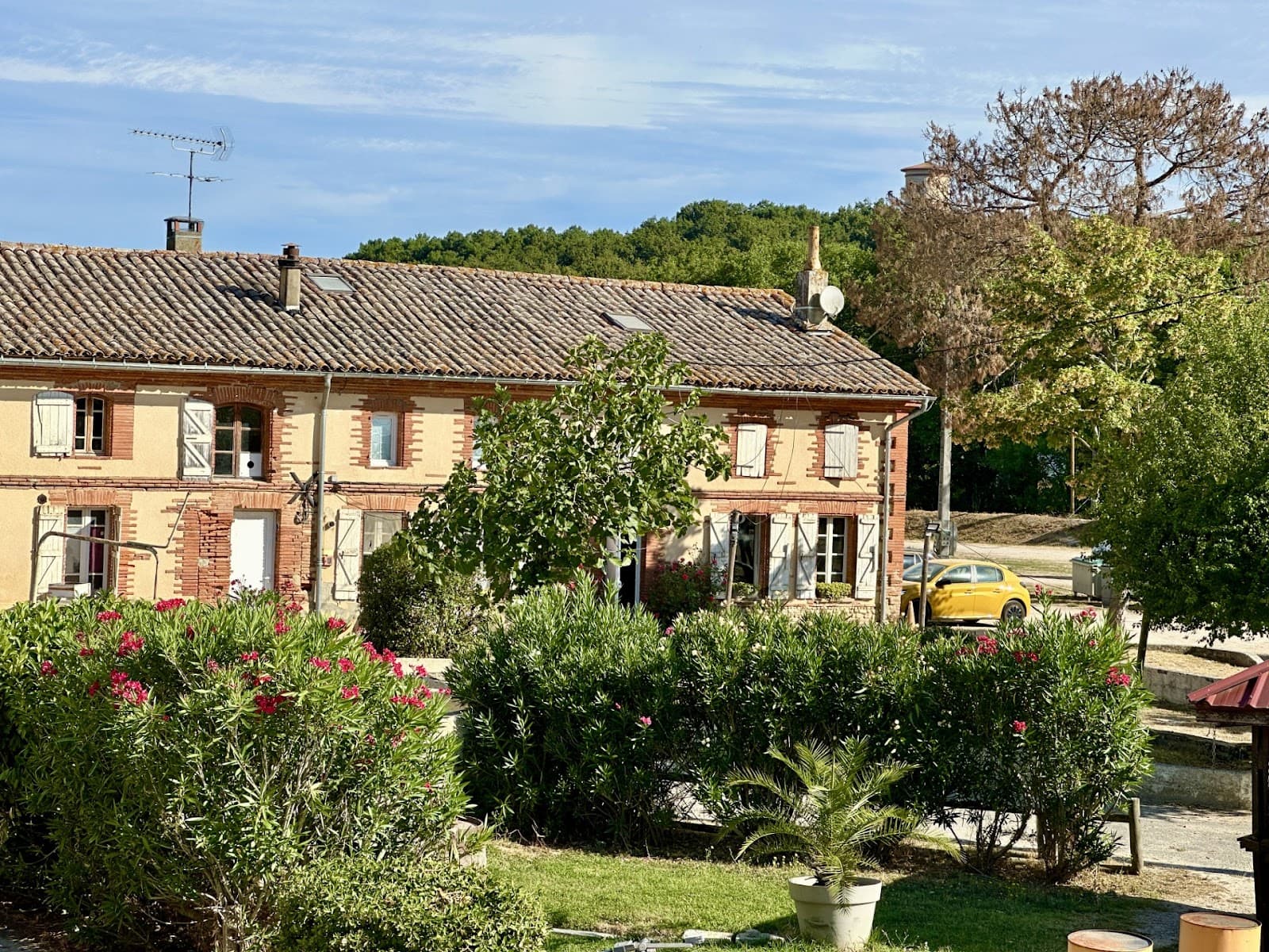 Club Hippique de la Forêt — photo 1